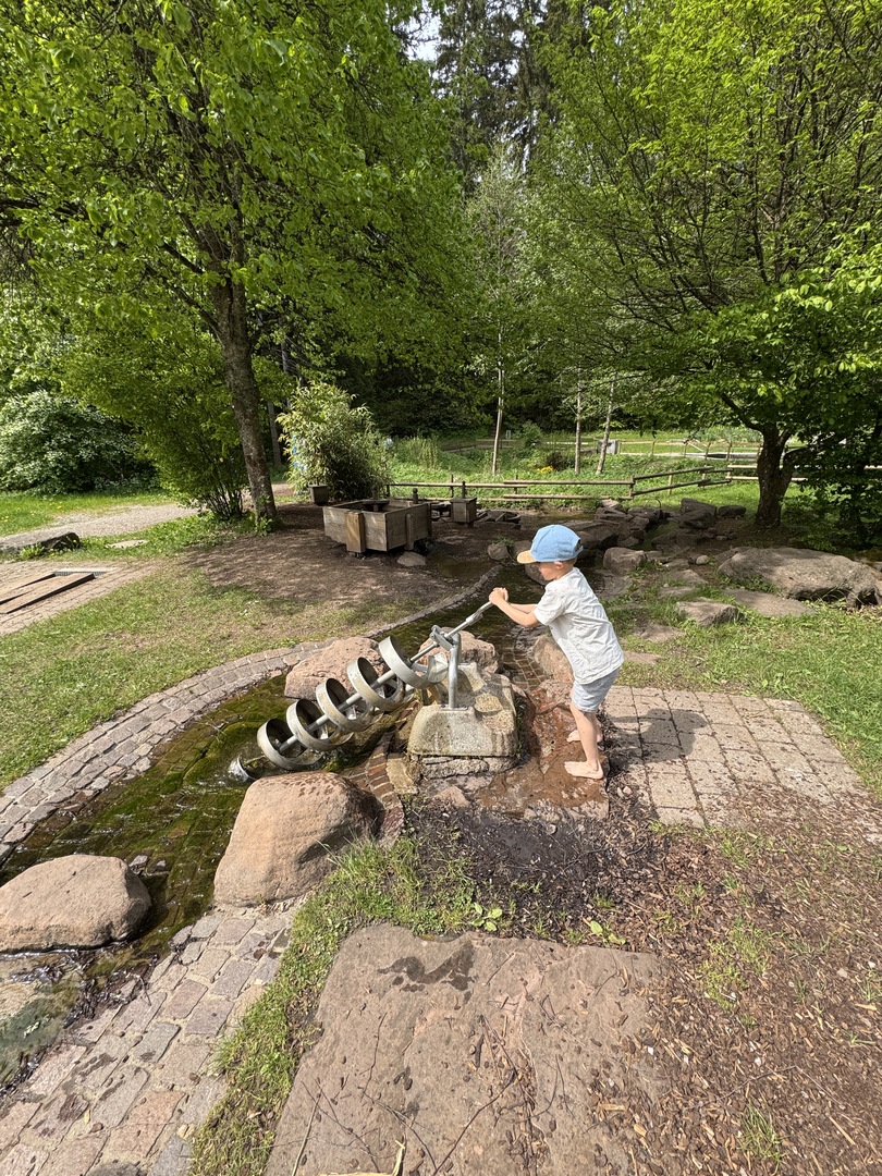 Barfußpark Dornstetten – Natur mit allen Sinnen erleben - Galeriebild 15
