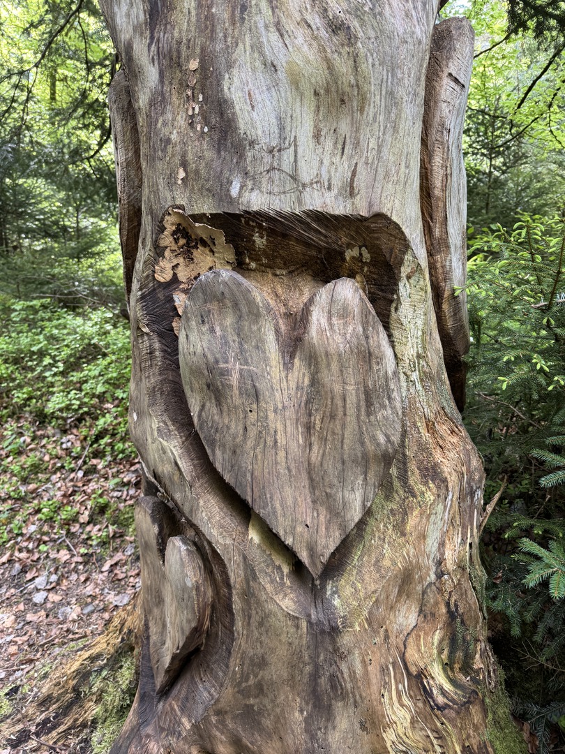 Barfußpark Dornstetten – Natur mit allen Sinnen erleben - Galeriebild 3