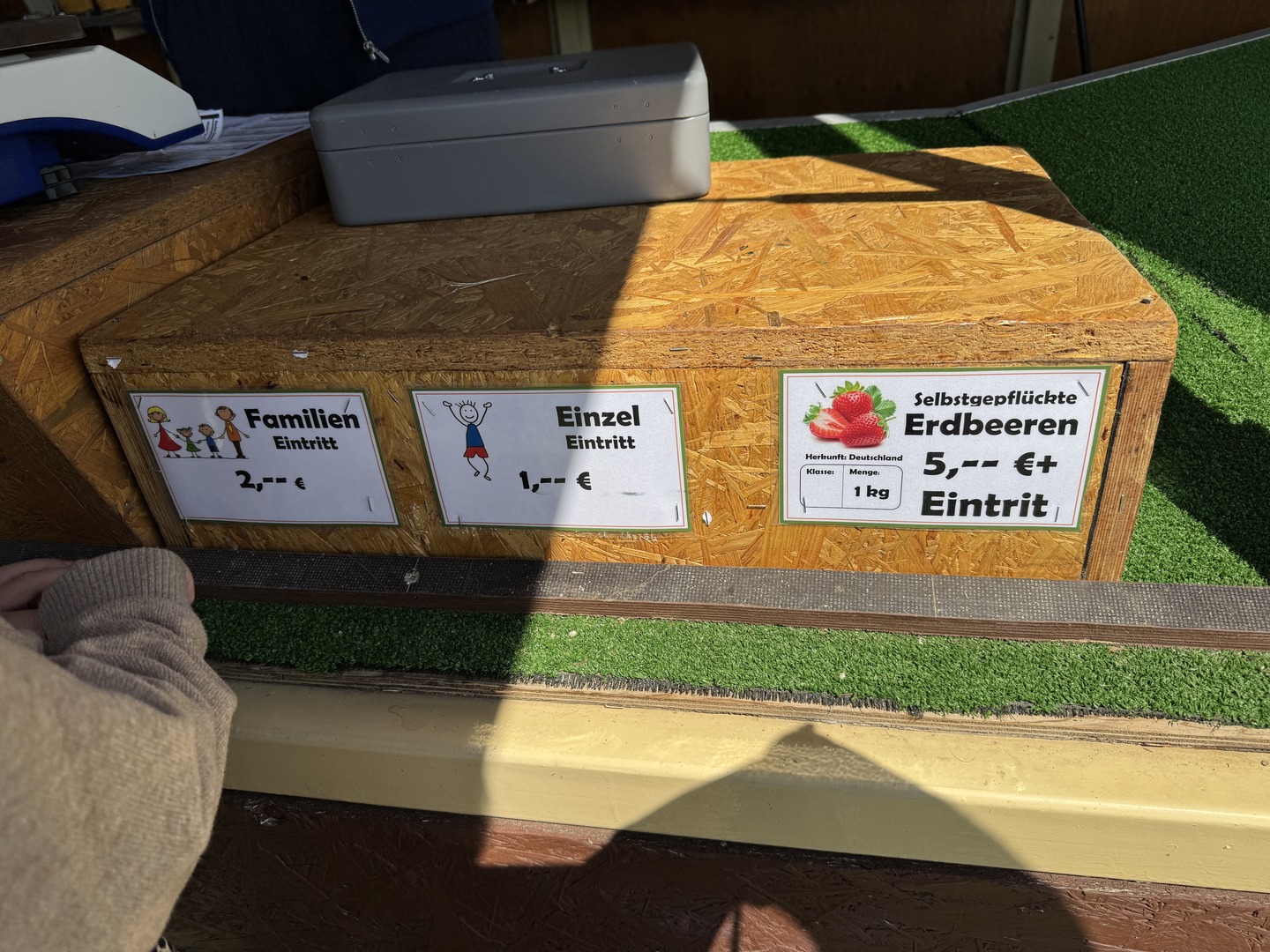 Erdbeerfeld Nürtingen-Raidwangen – Sommerfeeling für die ganze Familie - Galeriebild 2
