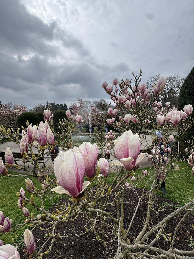 Wilhelma Stuttgart - Hauptbild