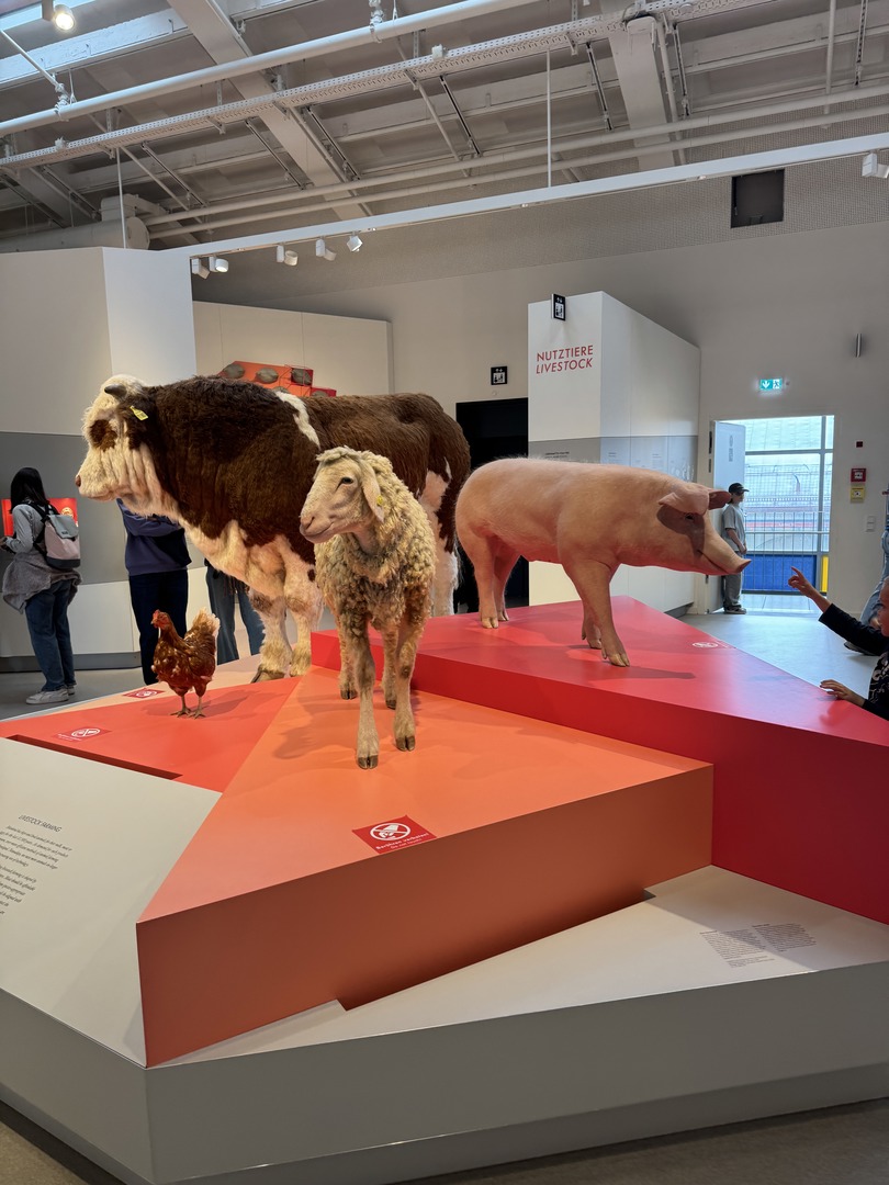 Deutsches Museum München – Perfekt für Familien - Galeriebild 14