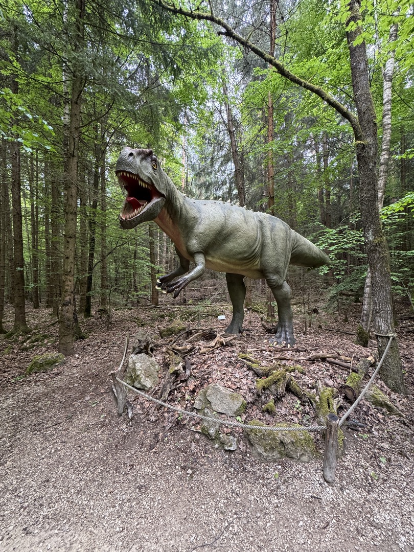 Dinosaurier Museum Altmühltal – Dino-Abenteuer für Familien Kurzbeschreibung - Galeriebild 19