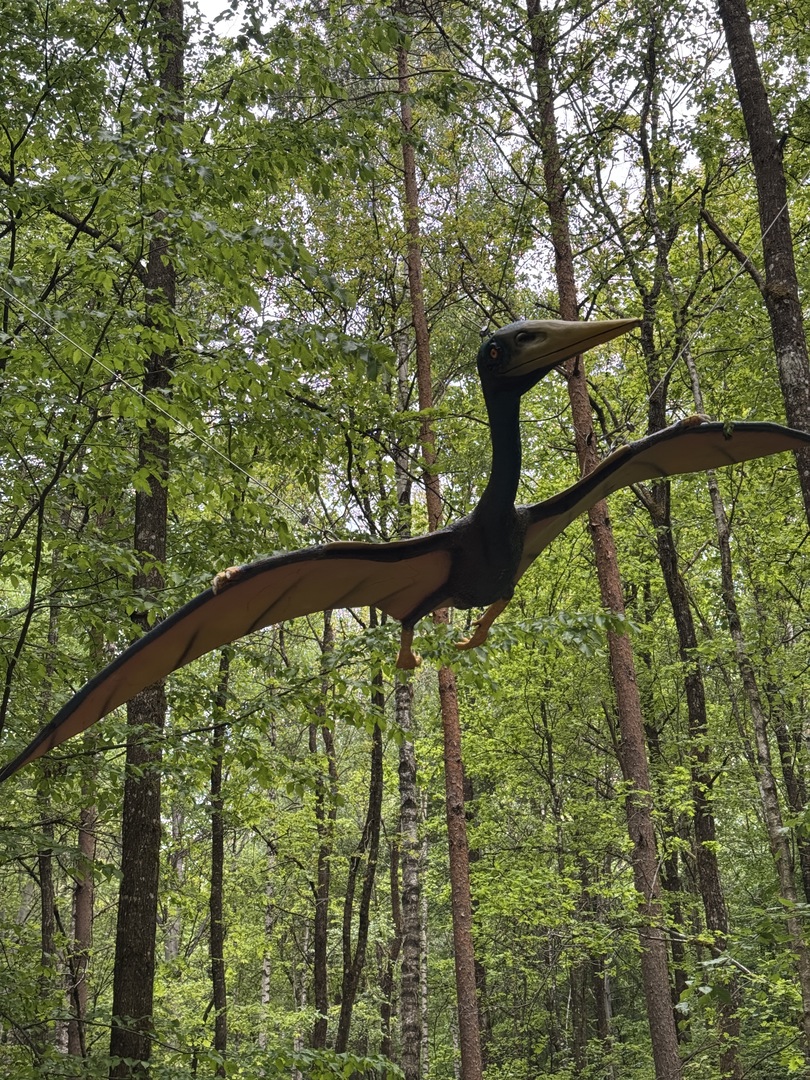 Dinosaurier Museum Altmühltal – Dino-Abenteuer für Familien Kurzbeschreibung - Galeriebild 20