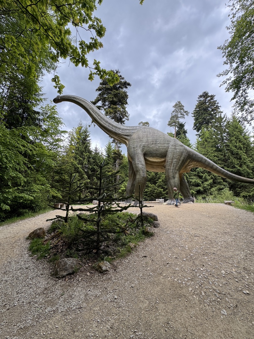 Dinosaurier Museum Altmühltal – Dino-Abenteuer für Familien Kurzbeschreibung - Galeriebild 21
