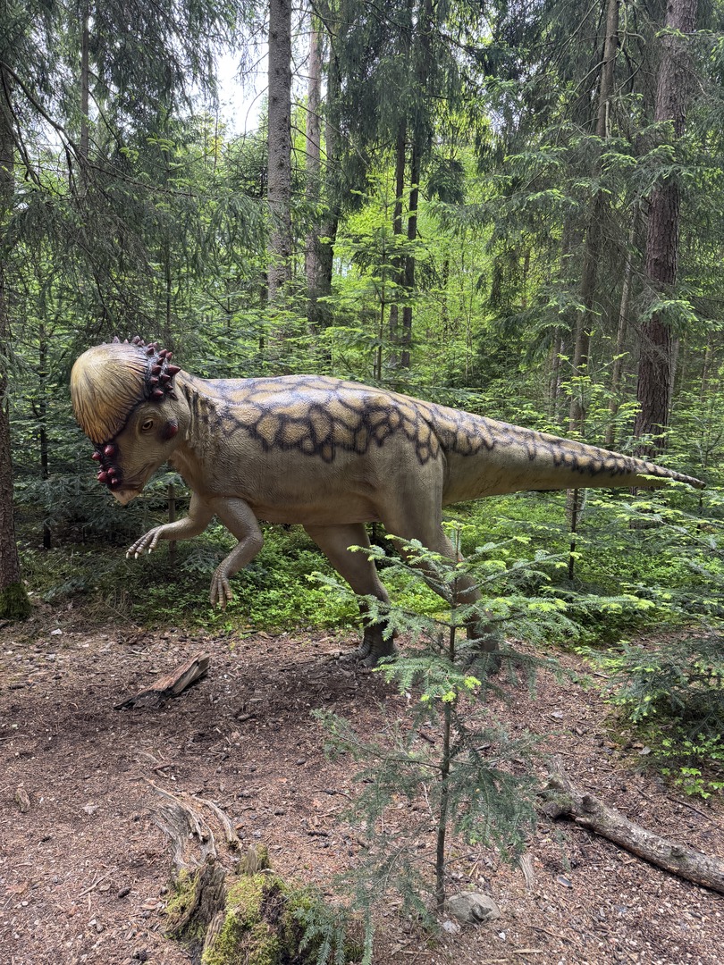 Dinosaurier Museum Altmühltal – Dino-Abenteuer für Familien Kurzbeschreibung - Galeriebild 28