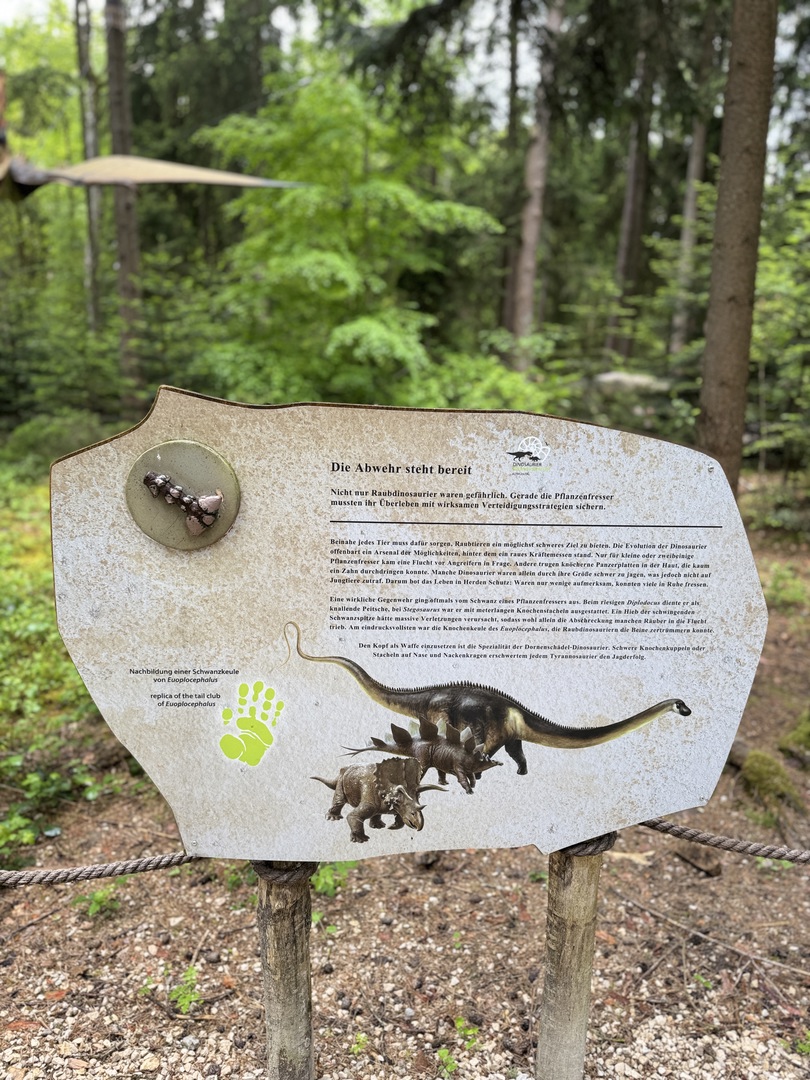 Dinosaurier Museum Altmühltal – Dino-Abenteuer für Familien Kurzbeschreibung - Galeriebild 29
