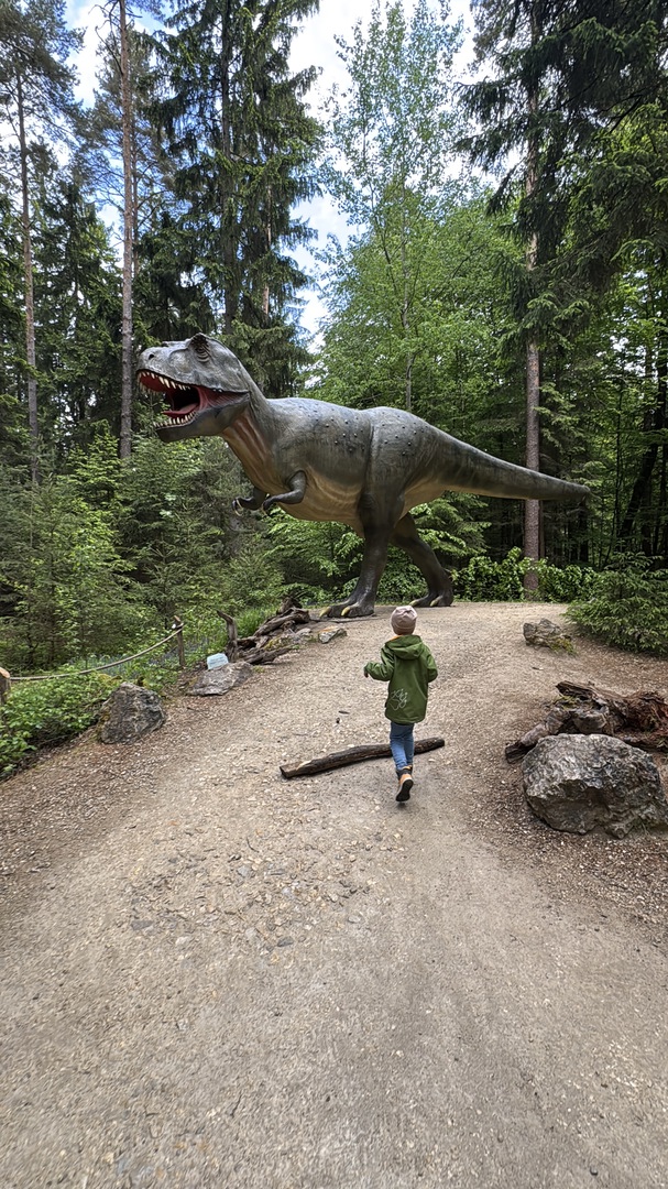Dinosaurier Museum Altmühltal – Dino-Abenteuer für Familien Kurzbeschreibung - Galeriebild 30