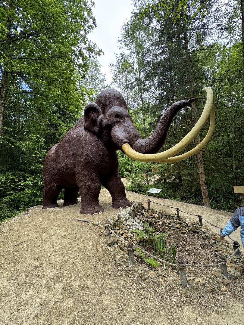 Dinosaurier Museum Altmühltal – Dino-Abenteuer für Familien Kurzbeschreibung - Galeriebild 32