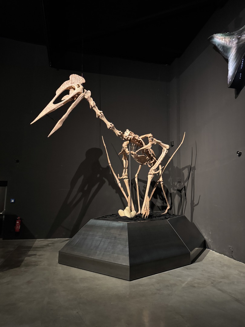 Dinosaurier Museum Altmühltal – Dino-Abenteuer für Familien Kurzbeschreibung - Galeriebild 5