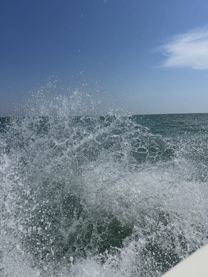 Boot mieten in Bibione Pineda – Traumtag auf dem Meer - Galeriebild 14