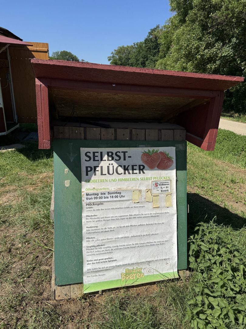 Himbeeren, Erdbeeren & Kirschen selbst pflücken in Nürtingen - Galeriebild 6