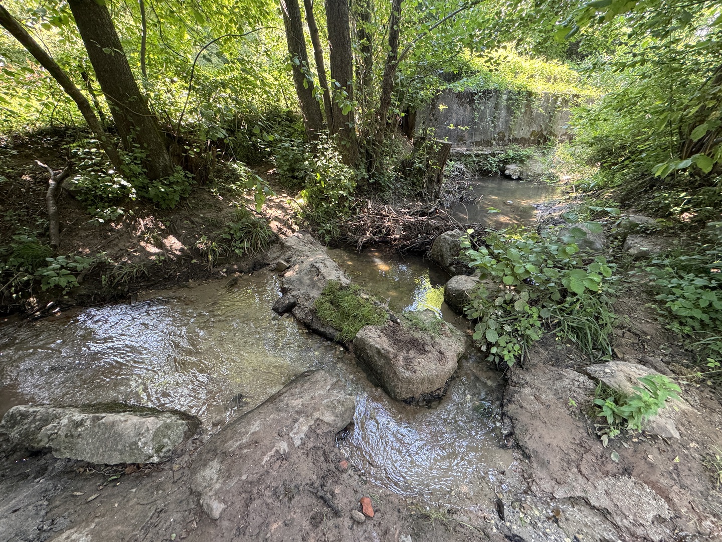 Wasserspielplatz Reichenbach an der Fils – Schattiger Geheimtipp für Familien - Galeriebild 4