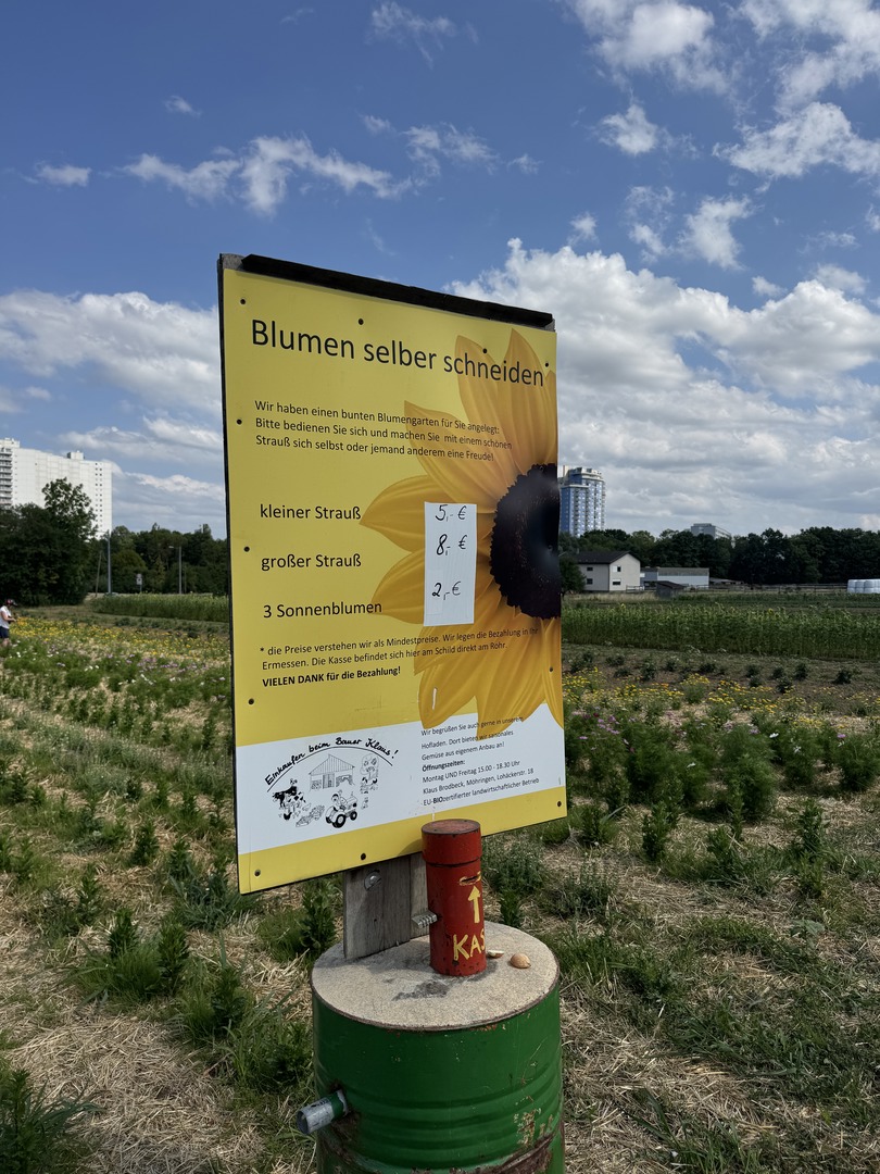 Hanf-Labyrinth Stuttgart-Möhringen – Familienabenteuer zwischen den grünen Gängen - Galeriebild 18