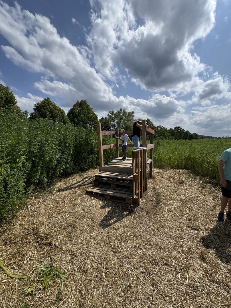 Hanf-Labyrinth Stuttgart-Möhringen – Familienabenteuer zwischen den grünen Gängen - Galeriebild 7