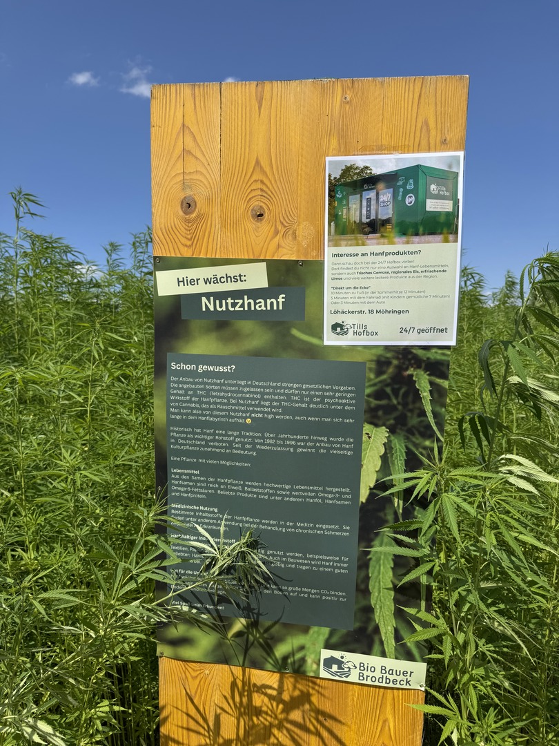 Hanf-Labyrinth Stuttgart-Möhringen – Familienabenteuer zwischen den grünen Gängen - Galeriebild 10