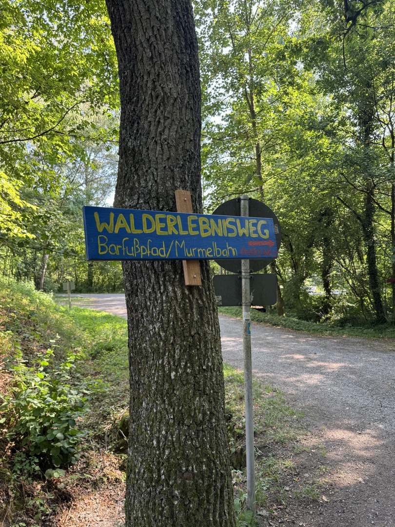 Walderlebnisweg Schadenweiler – Familienwanderung mit Kugelbahn, Barfußpfad & Wildschweinen - Galeriebild 2