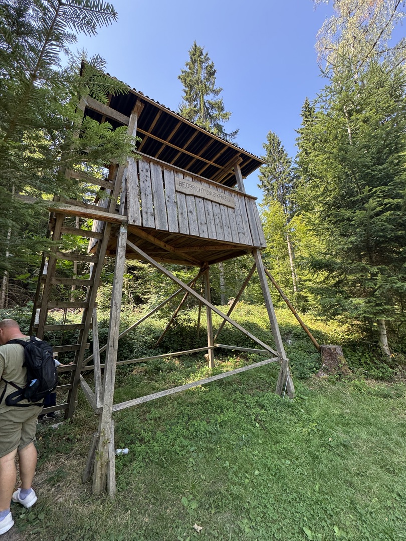 Walderlebnisweg Schadenweiler – Familienwanderung mit Kugelbahn, Barfußpfad & Wildschweinen - Galeriebild 12