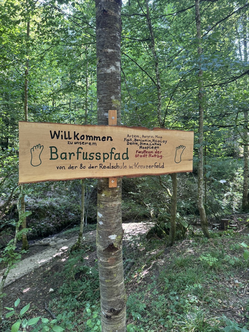 Walderlebnisweg Schadenweiler – Familienwanderung mit Kugelbahn, Barfußpfad & Wildschweinen - Galeriebild 14