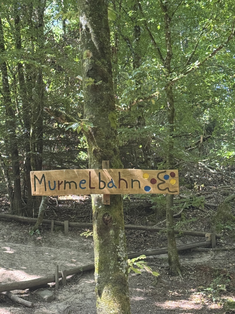 Walderlebnisweg Schadenweiler – Familienwanderung mit Kugelbahn, Barfußpfad & Wildschweinen - Galeriebild 16