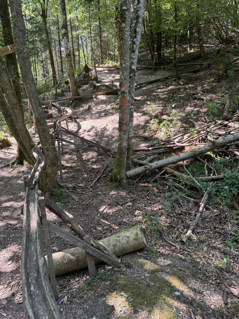 Walderlebnisweg Schadenweiler – Familienwanderung mit Kugelbahn, Barfußpfad & Wildschweinen - Galeriebild 17