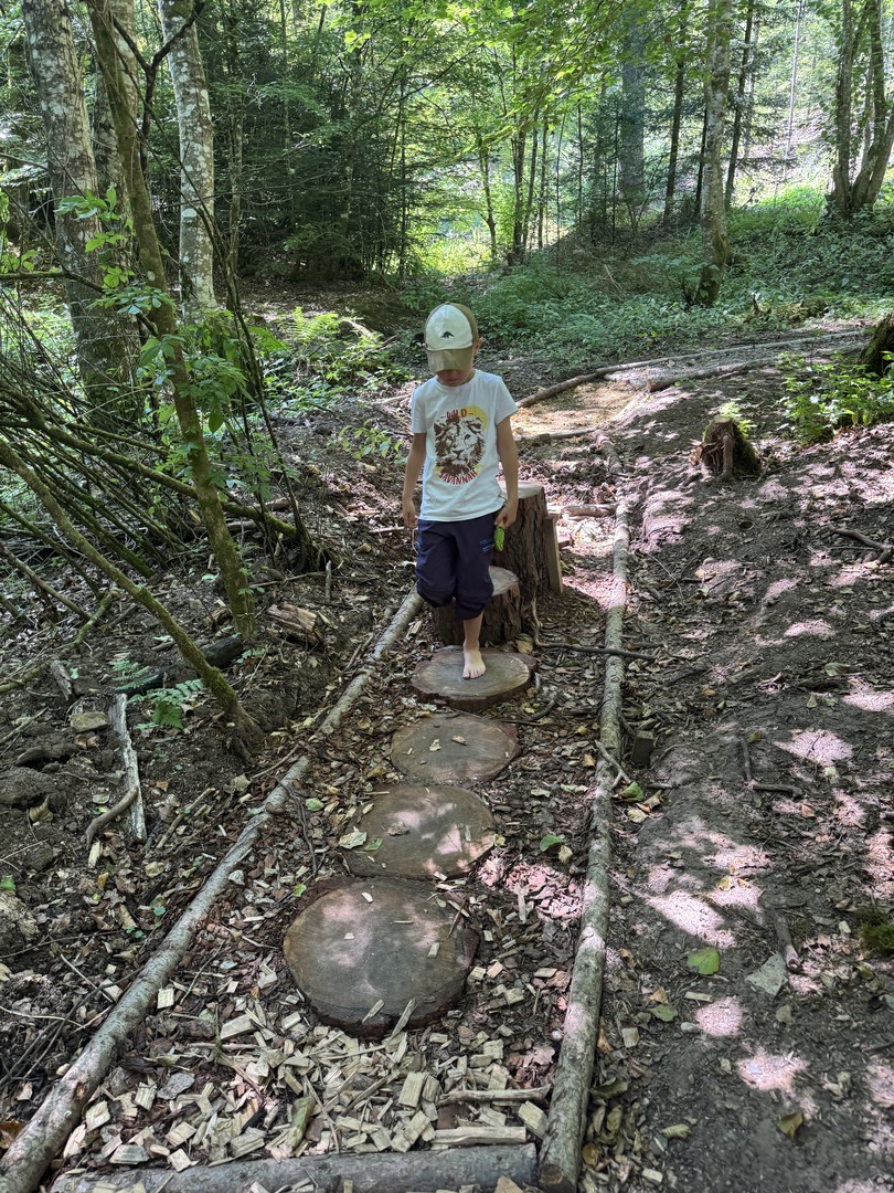Walderlebnisweg Schadenweiler – Familienwanderung mit Kugelbahn, Barfußpfad & Wildschweinen - Galeriebild 18