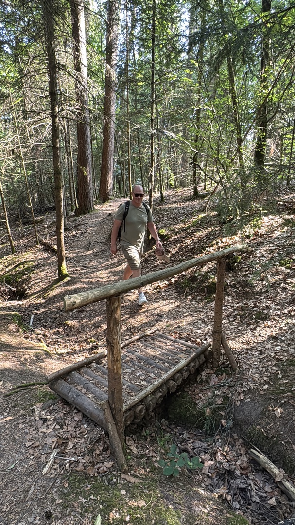 Walderlebnisweg Schadenweiler – Familienwanderung mit Kugelbahn, Barfußpfad & Wildschweinen - Galeriebild 4