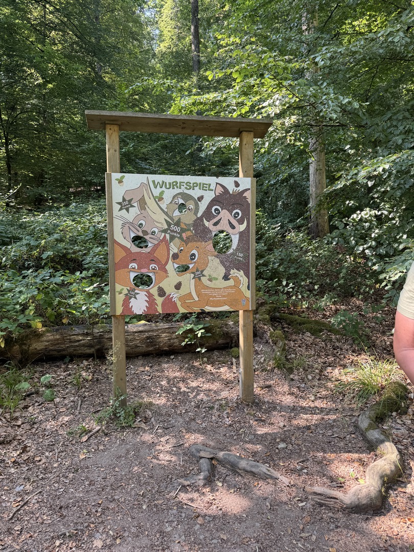 Walderlebnisweg Schadenweiler – Familienwanderung mit Kugelbahn, Barfußpfad & Wildschweinen - Galeriebild 5