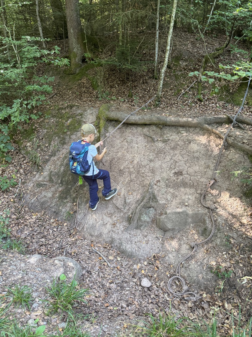 Walderlebnisweg Schadenweiler – Familienwanderung mit Kugelbahn, Barfußpfad & Wildschweinen - Galeriebild 7