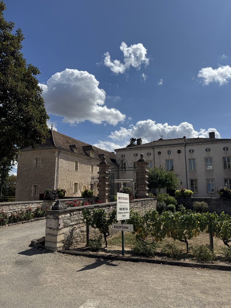 Castel Camping Château de l'Epervière – Traumhafter Campingplatz für die Durchreise - Galeriebild 2