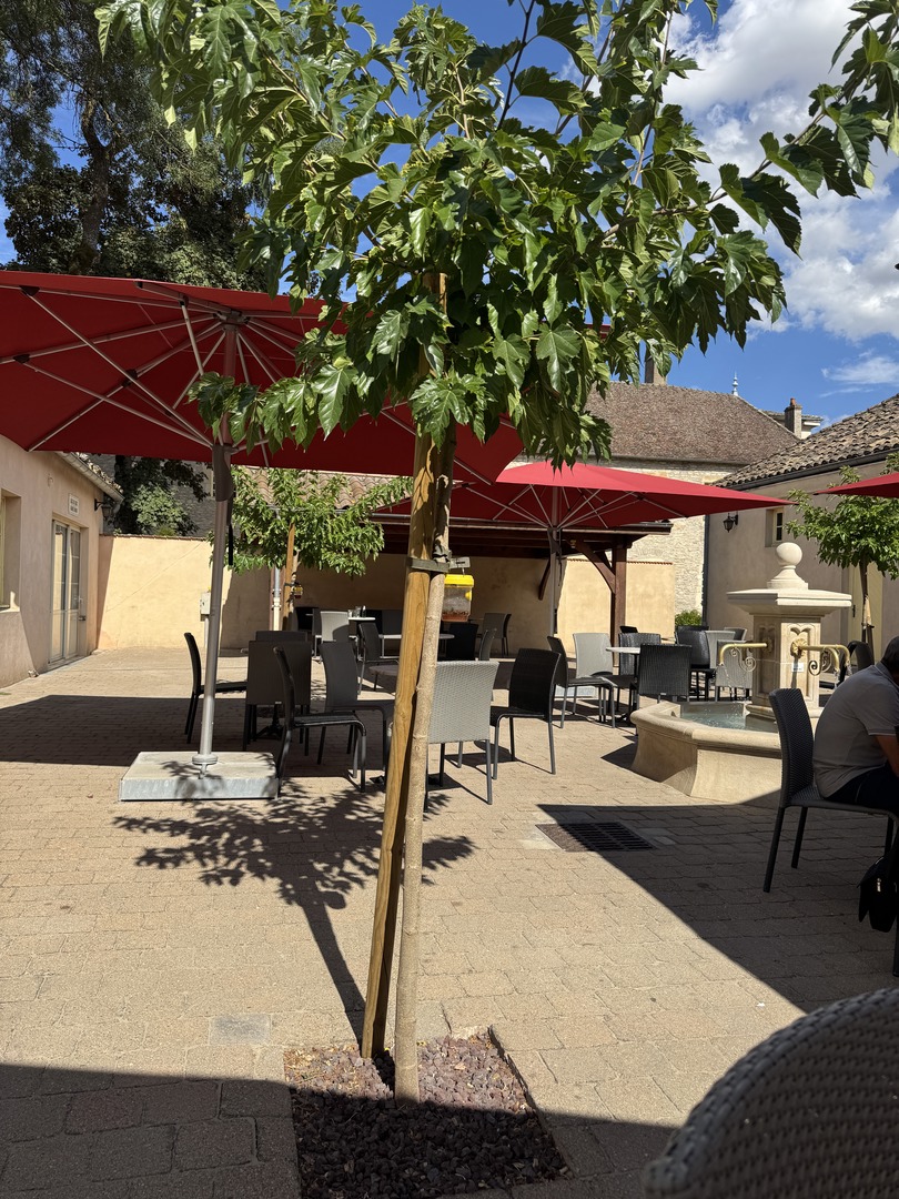 Castel Camping Château de l'Epervière – Traumhafter Campingplatz für die Durchreise - Galeriebild 10