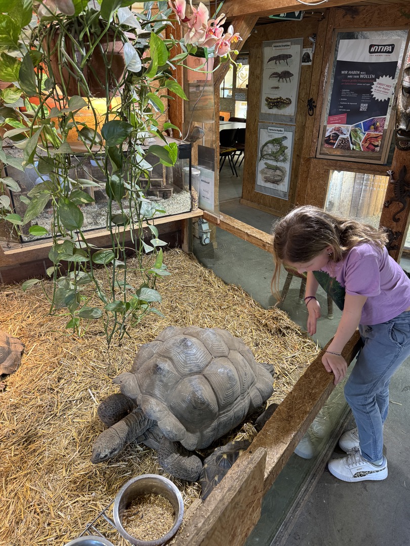 Schildkröten- und Reptilienzoo - Neu-Ulm - Galeriebild 2