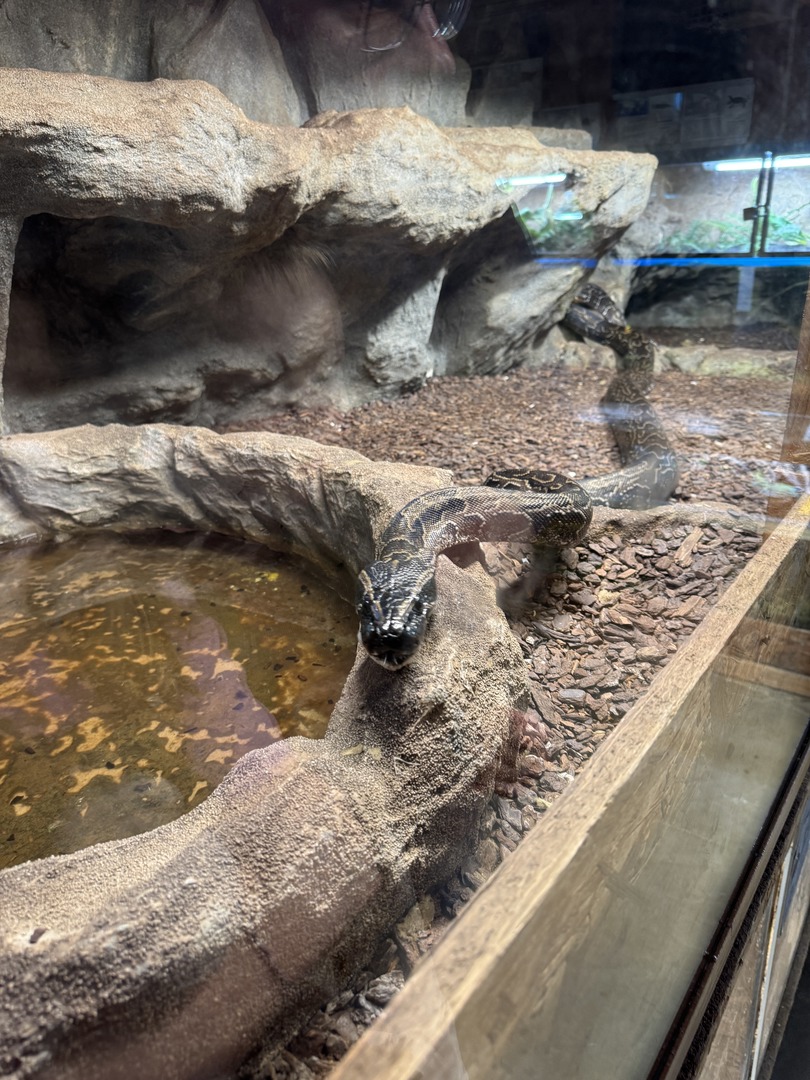 Schildkröten- und Reptilienzoo - Neu-Ulm - Galeriebild 11