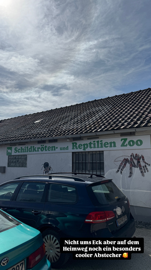 Schildkröten- und Reptilienzoo - Neu-Ulm - Galeriebild 10