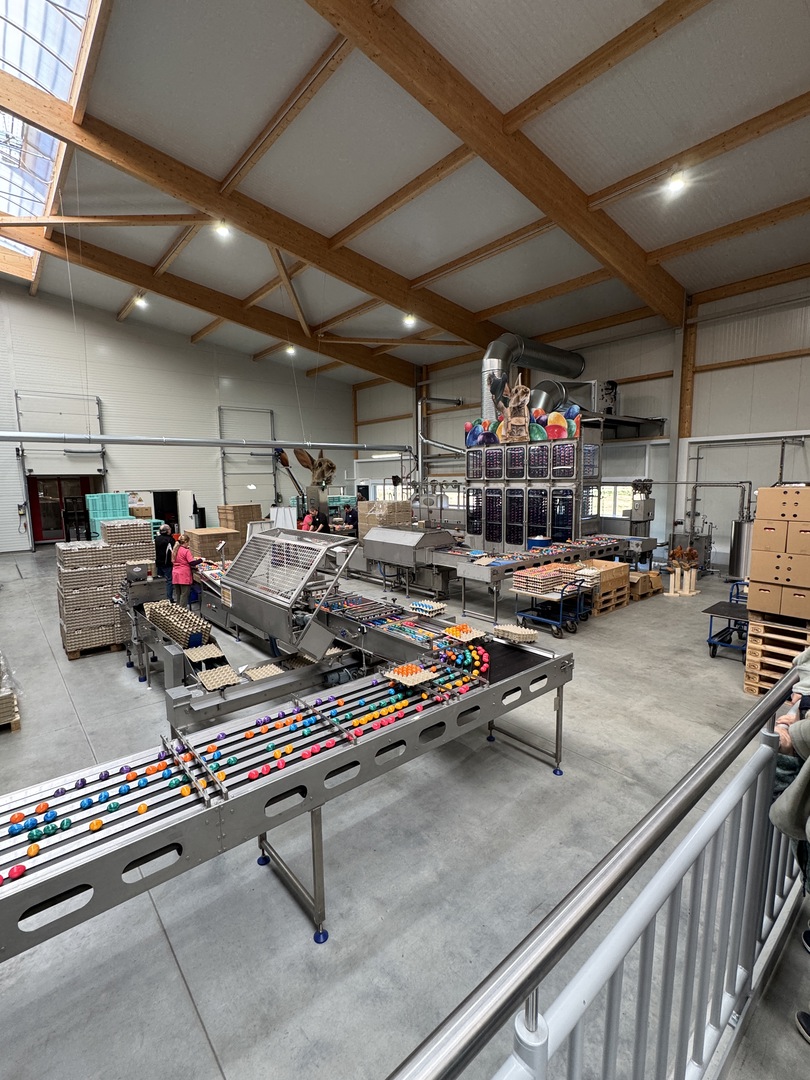 Eierfärberei Beham  - Galeriebild 11