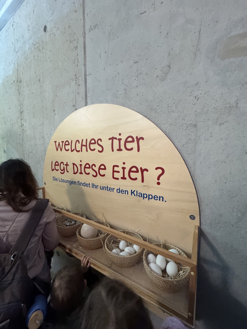 Eierfärberei Beham  - Galeriebild 3