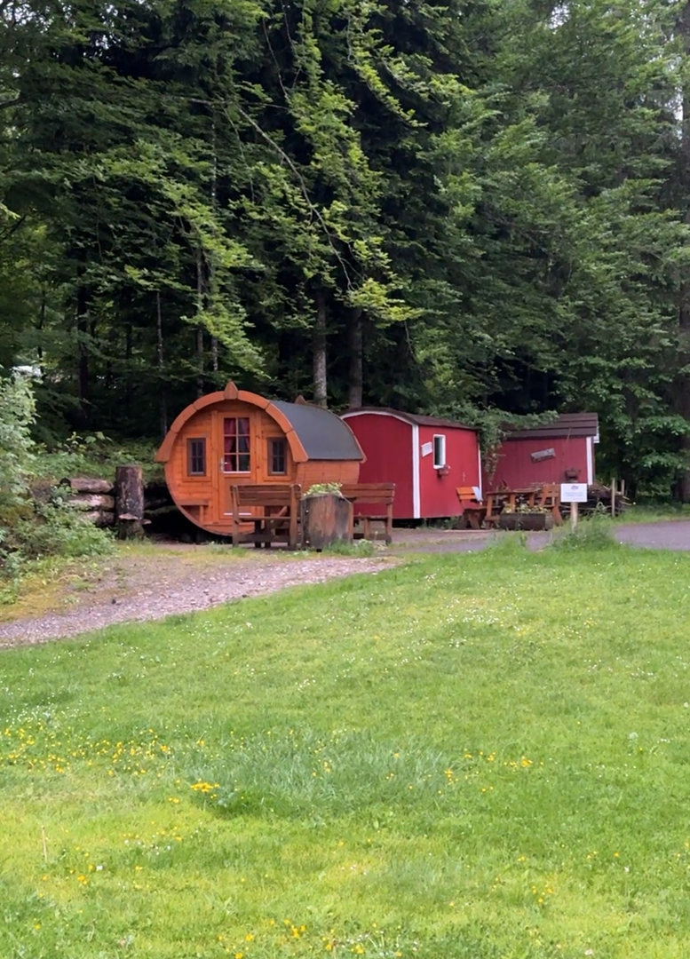 Waldbad Isny - Galeriebild 15
