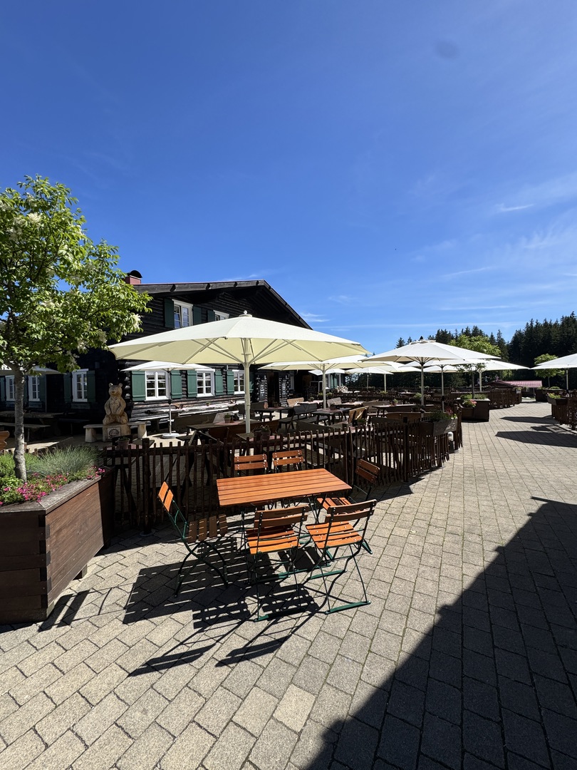 Alpsee Bergwelt - Galeriebild 17