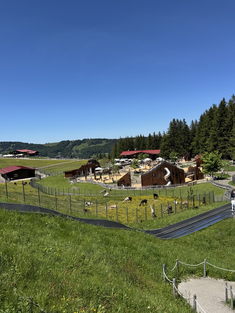 Alpsee Bergwelt - Galeriebild 4