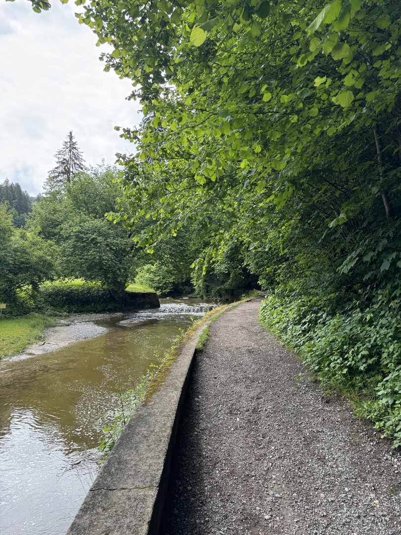 Räuber Kasimir Weg - Galeriebild 2