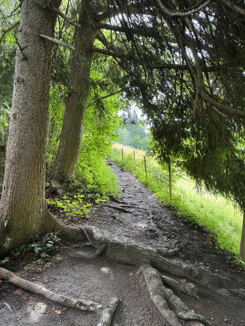 Räuber Kasimir Weg - Galeriebild 3