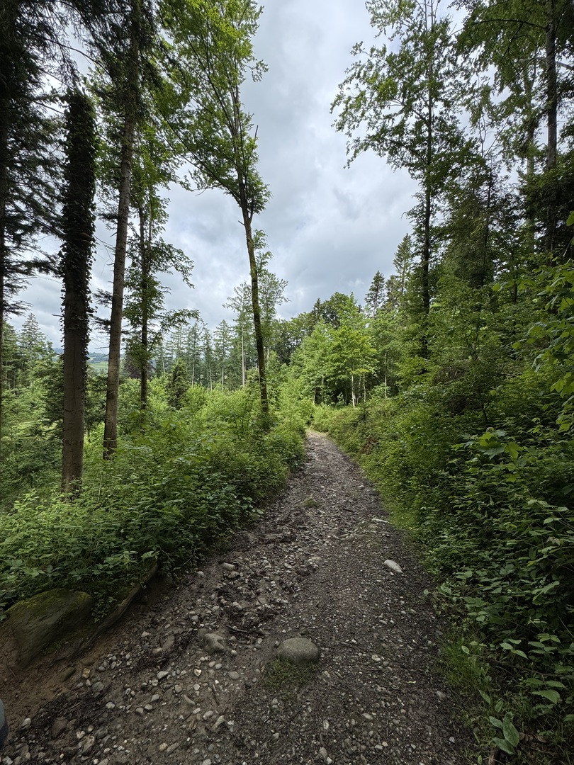 Räuber Kasimir Weg - Galeriebild 6