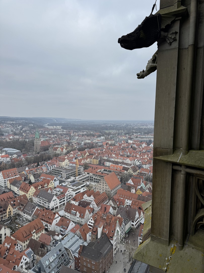 Tagesausflug Ulm - Galeriebild 7