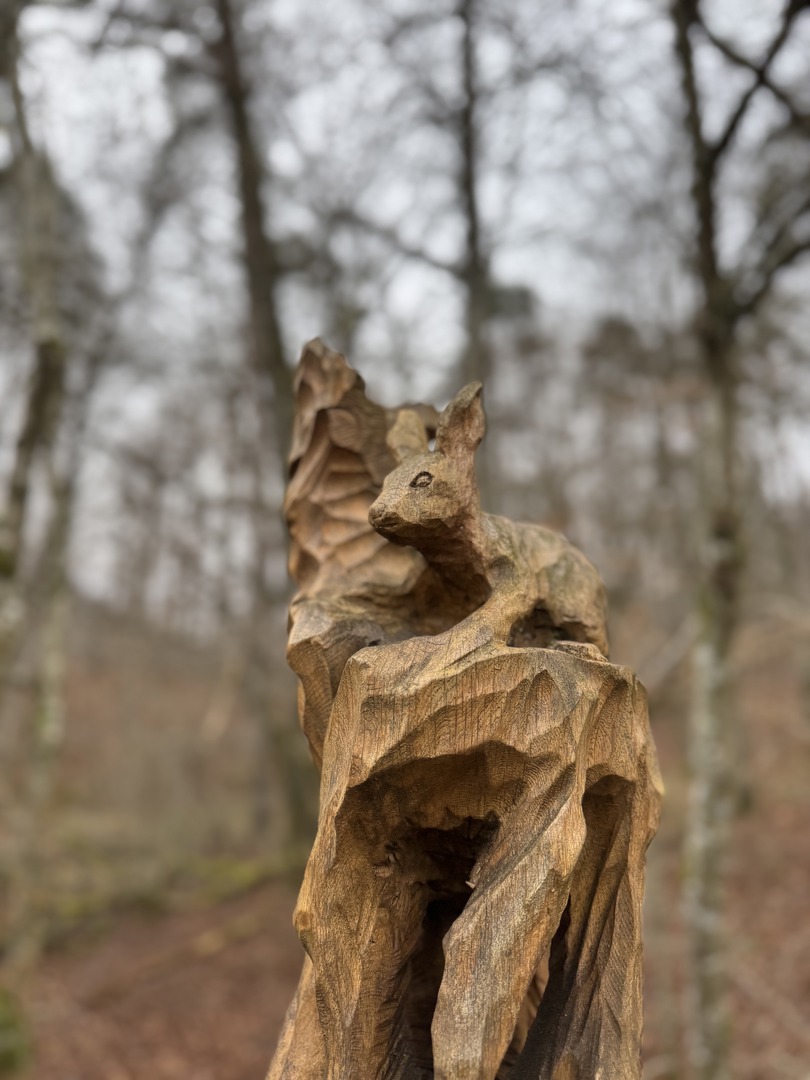 Walderlebnispfad - Gerlingen - Galeriebild 13