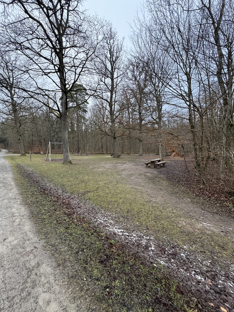 Walderlebnispfad - Gerlingen - Hauptbild