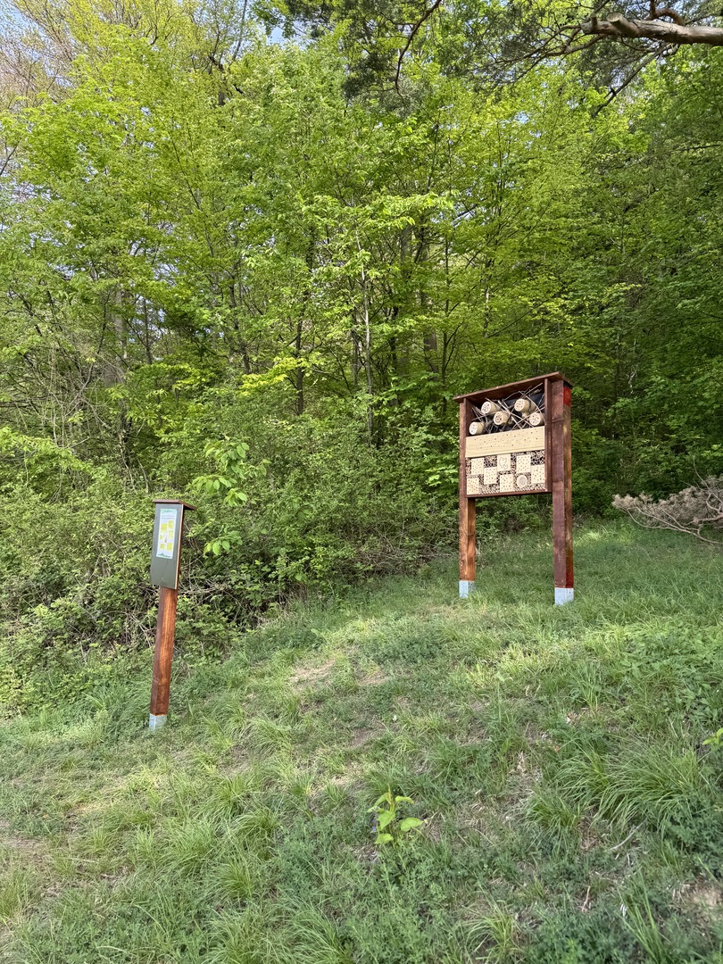 Walderlebnisweg Rangenbergle - Eningen u. Achalm - Galeriebild 3