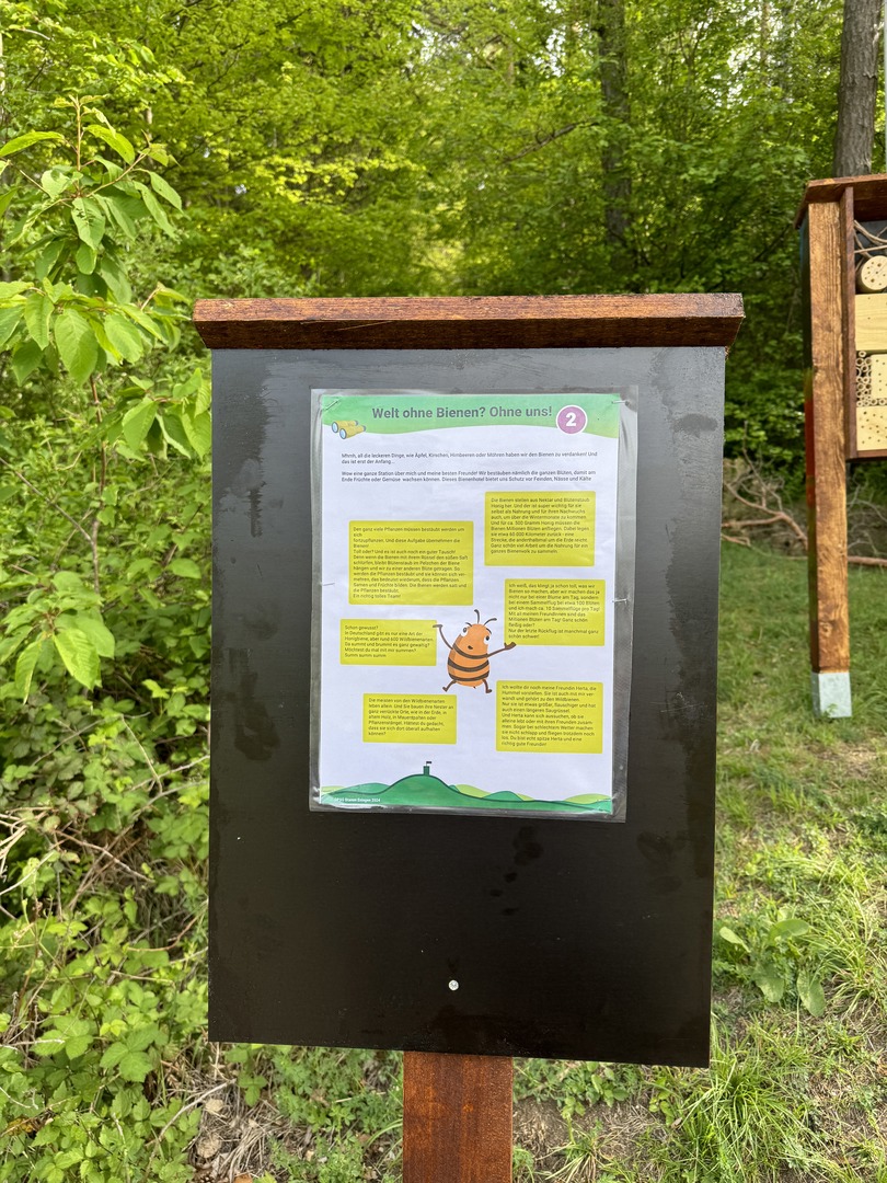 Walderlebnisweg Rangenbergle - Eningen u. Achalm - Galeriebild 4