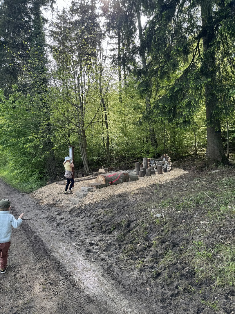Walderlebnisweg Rangenbergle - Eningen u. Achalm - Galeriebild 7