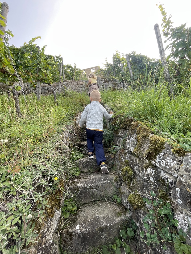 Herzogliche Kugelbahn Stetten - Galeriebild 3