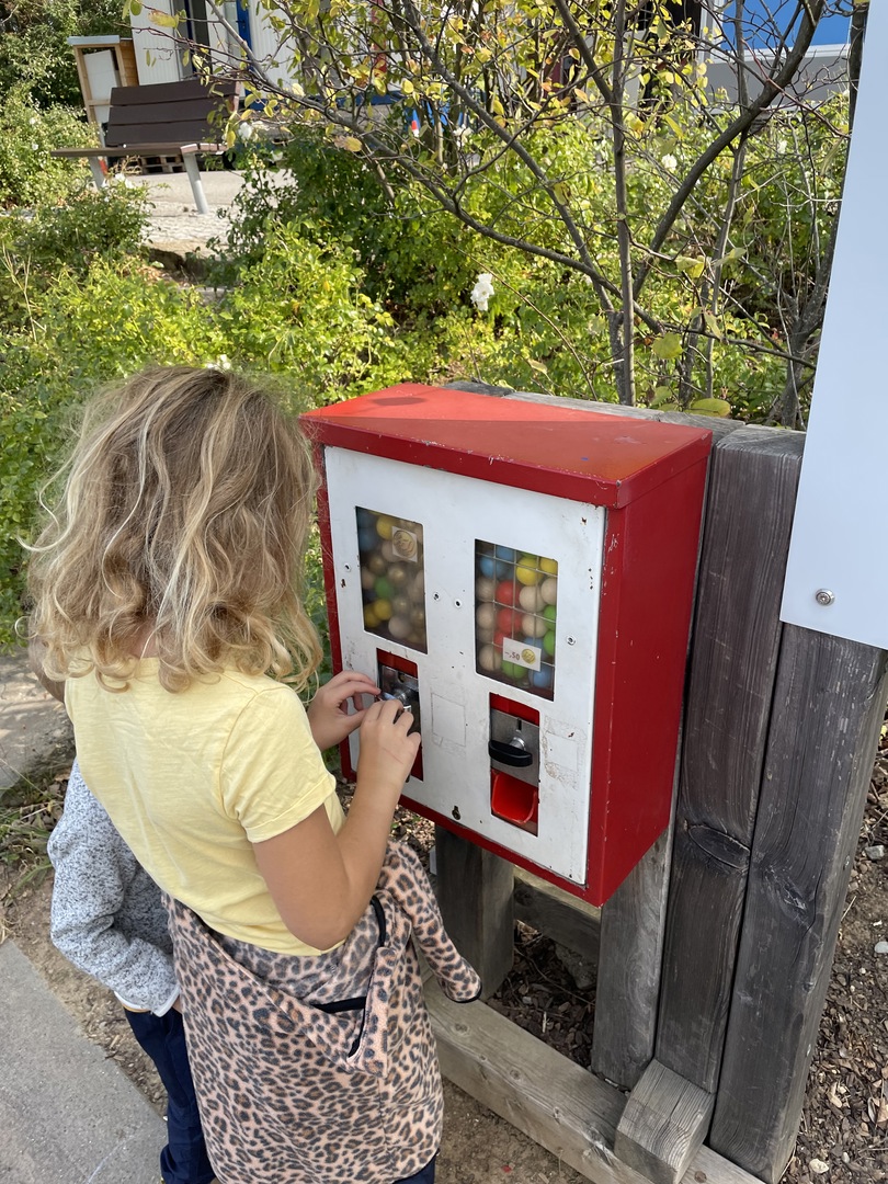 Herzogliche Kugelbahn Stetten - Galeriebild 7