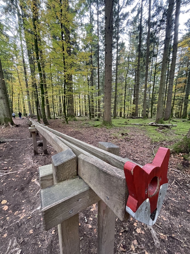 KugelWaldPfad Birkendorf  - Galeriebild 4